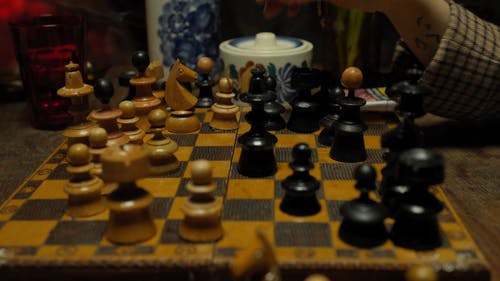 有关下棋, 交配, 休闲的免费素材视频