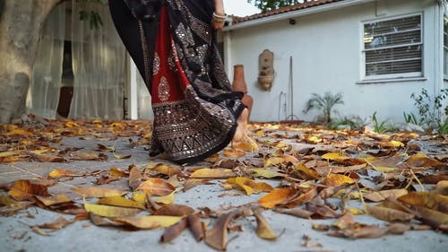 有关传统服装, 印度的颜色, 可信的的免费素材视频