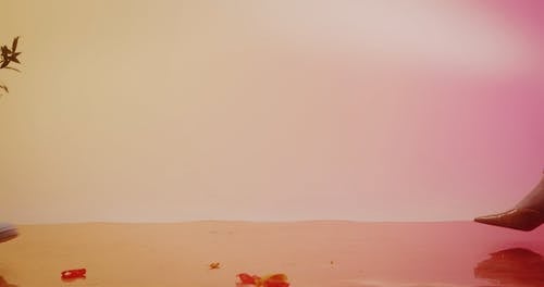 有关人, 地面射击, 女性的免费素材视频