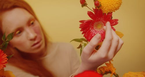 有关化妆, 外框, 女人的免费素材视频