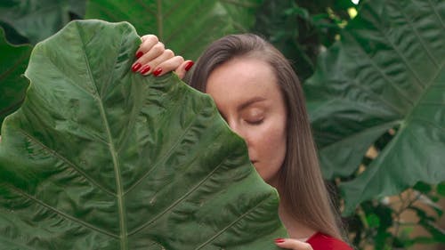 有关人, 女人, 工厂的免费素材视频