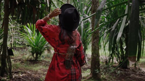 走在森林里的女人 · 免费素材视频