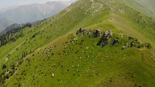 有关哈萨克斯坦, 夏天, 天性的免费素材视频