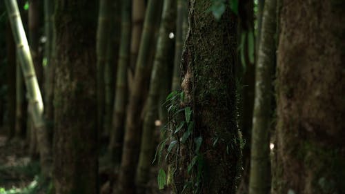 有关休闲活动, 假期, 冒险的免费素材视频