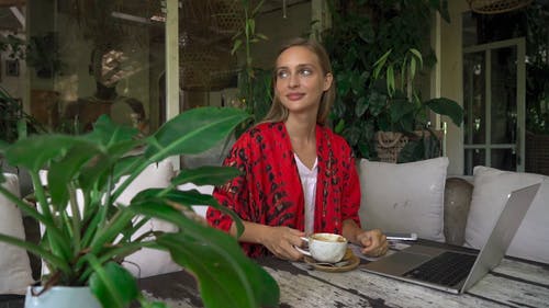 有关互联网, 咖啡, 咖啡店的免费素材视频