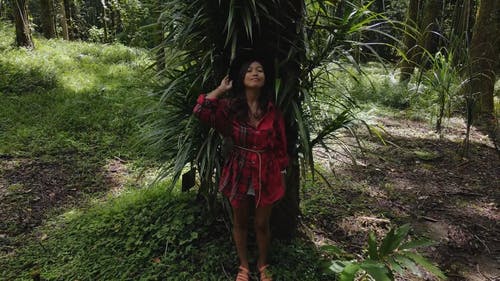 有关人, 休息, 倚的免费素材视频