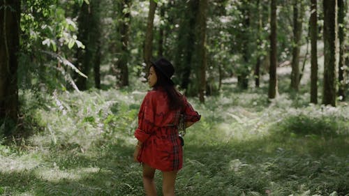 森林里的女人 · 免费素材视频