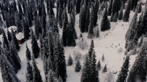 有关下雪的, 冬季, 冷的免费素材视频