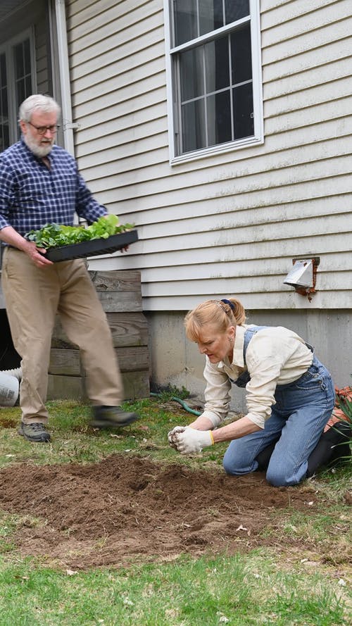 有关人, 修剪花草, 去除的免费素材视频