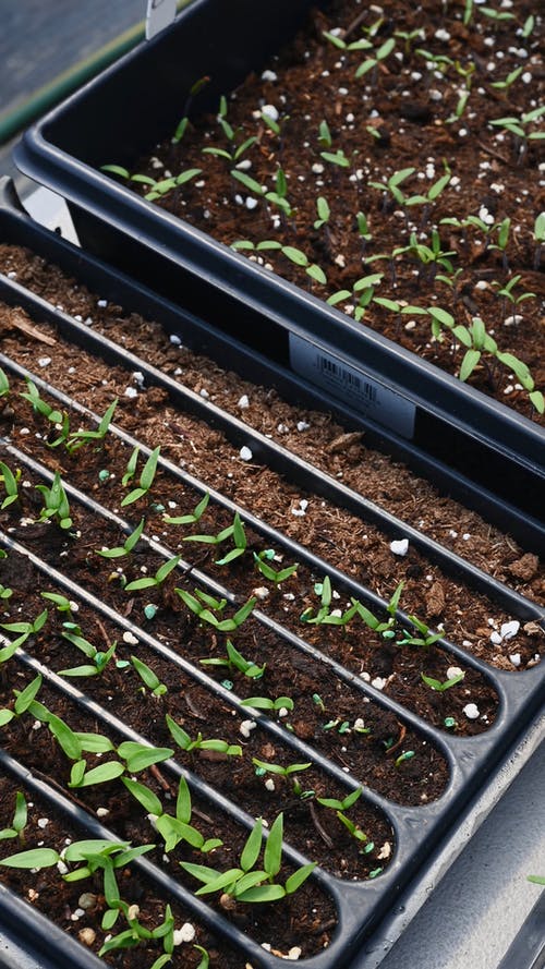 有关土, 垂直视频, 工厂的免费素材视频