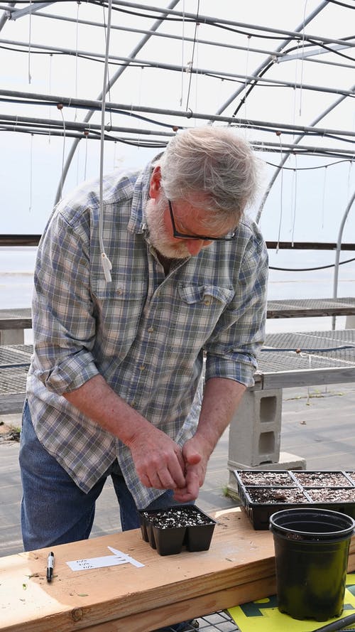 有关人, 修剪花草, 嗜好的免费素材视频