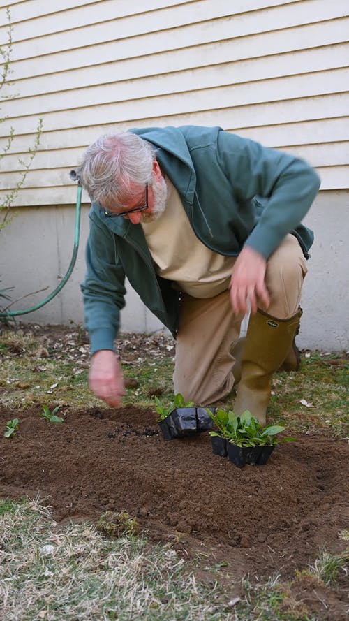 有关修剪花草, 土, 地面的免费素材视频