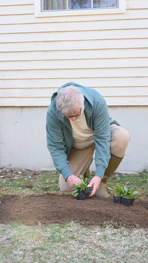 有关修剪花草, 土, 地面的免费素材视频