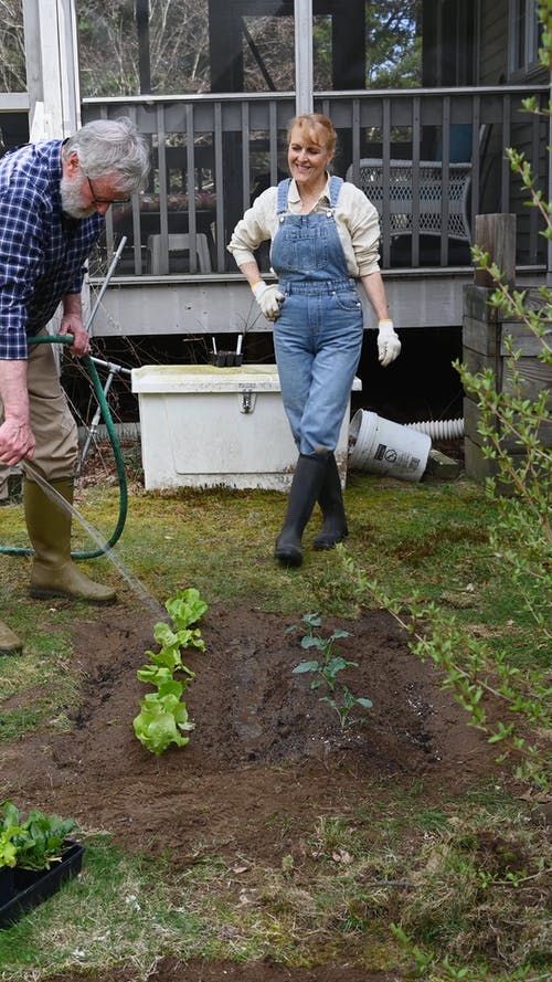有关一起, 人, 修剪花草的免费素材视频