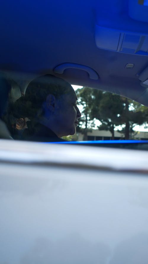 有关侧面图, 咀嚼, 坐的免费素材视频