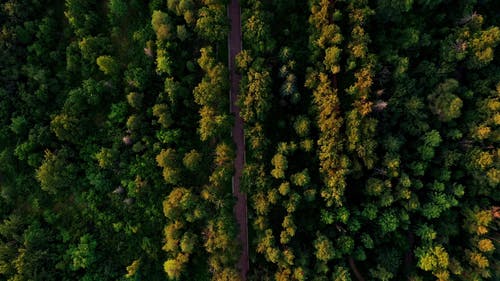 有关俯视图, 哈萨克斯坦, 从上面的免费素材视频