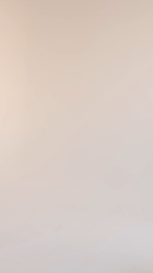 有关一对, 中性色, 优雅的免费素材视频