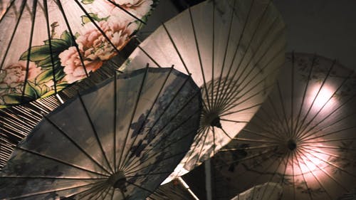 有关wagasa, 传统, 仪式的免费素材视频