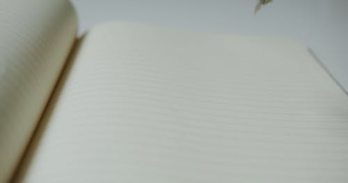 有关人, 圆, 工作室拍摄的免费素材视频