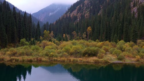 有关哈萨克斯坦, 天性, 山的免费素材视频