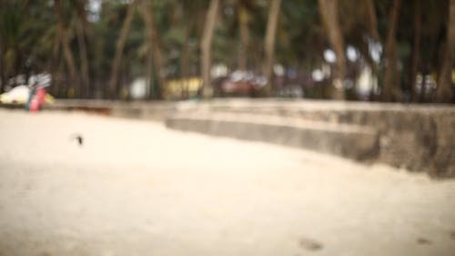 有关一对, 一起, 人的免费素材视频