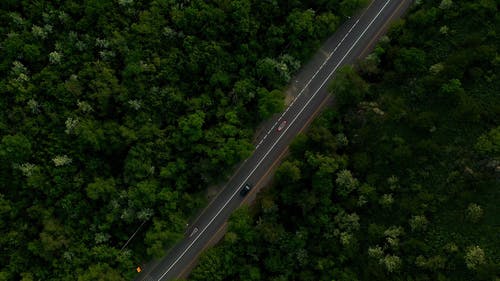 有关交通系统, 哈萨克斯坦, 城市的免费素材视频
