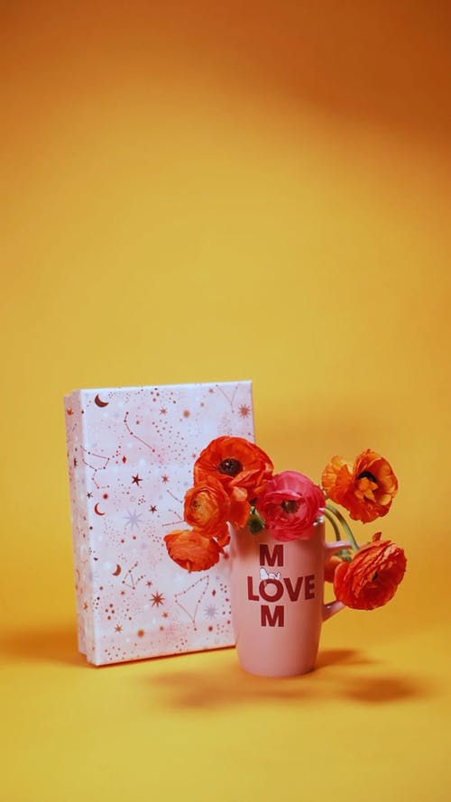 有关垂直视频, 持械抢劫, 礼品的免费素材视频