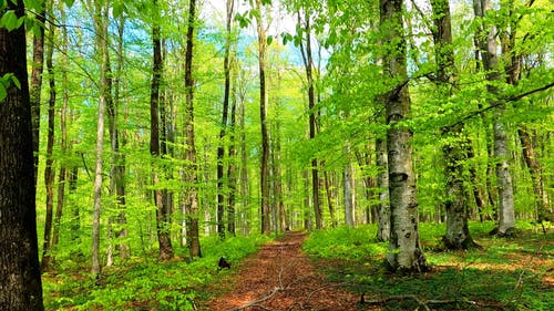 有关冒险, 天性, 户外的免费素材视频