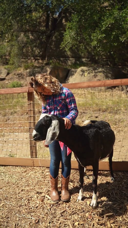 有关儿童, 动物爱好者, 垂直视频的免费素材视频