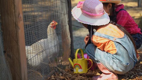 有关@户外, nc, 兄弟姐妹的免费素材视频