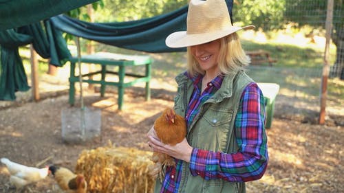 有关农场工人, 女人, 家畜的免费素材视频