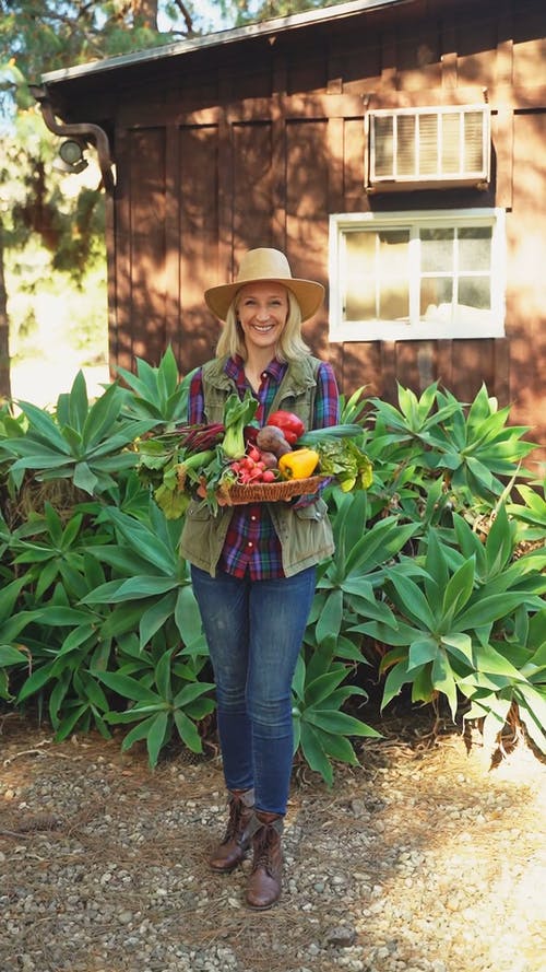 有关农舍, 垂直视频, 女人的免费素材视频