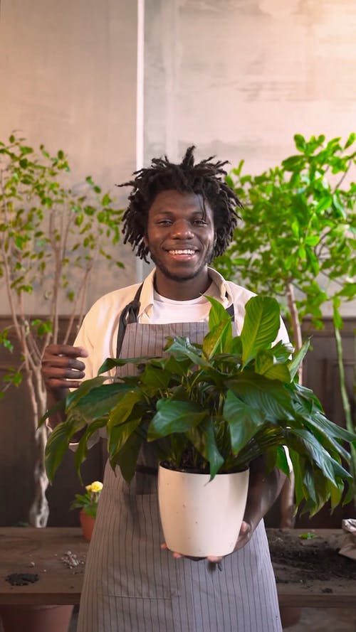 有关人, 侧身看, 雇员的免费素材视频