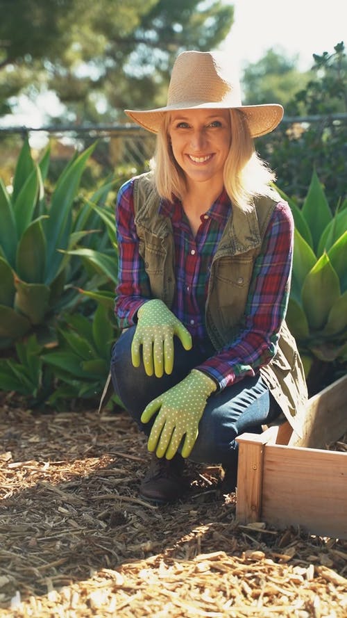 有关修剪花草, 垂直视频, 女人的免费素材视频