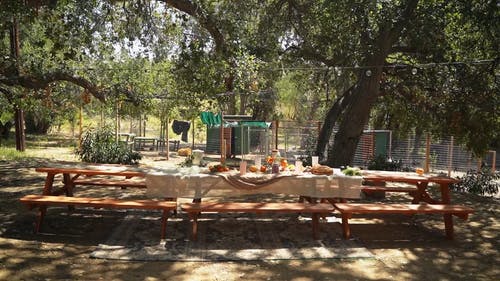 有关天性, 户外, 日光的免费素材视频