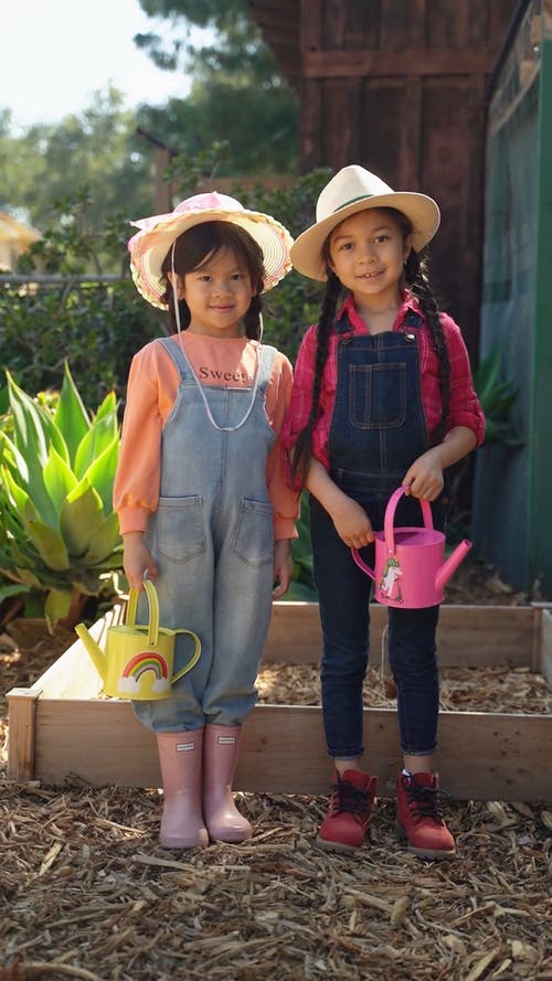 有关一起, 可爱, 可爱的的免费素材视频