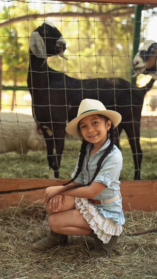 有关农家庭院, 可爱, 可爱的的免费素材视频
