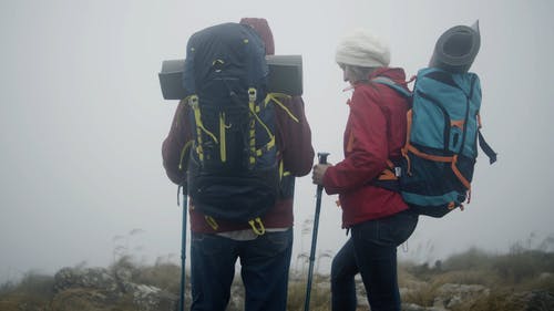 有关一对, 垫, 峰的免费素材视频