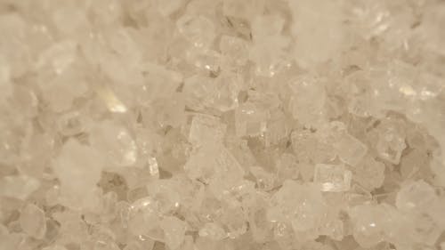 有关天气好, 宏观, 专注的免费素材视频