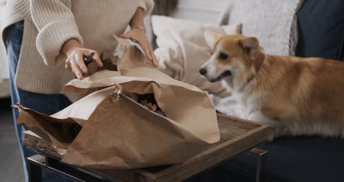 有关可爱, 可爱的, 女人的免费素材视频