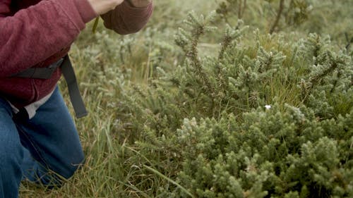 有关3C用品, 一对, 人的免费素材视频