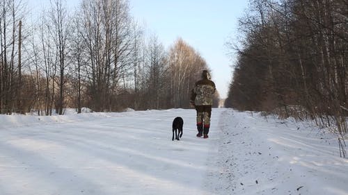 有关下雪的, 人行道, 冬季的免费素材视频