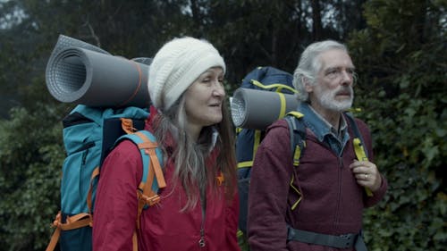 有关一对, 人, 女人的免费素材视频