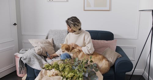 有关Instagram, iPhone, 互联网的免费素材视频