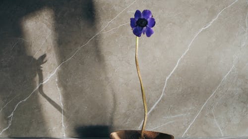 有关垂直视频, 大理石表面, 审美的免费素材视频