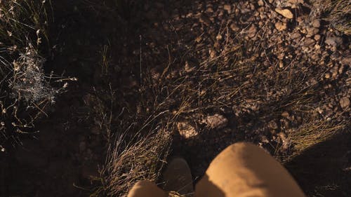 有关冒险家, 娱乐, 小路的免费素材视频