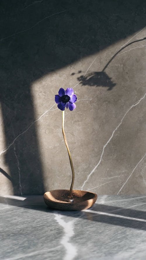 有关光, 地板, 垂直视频的免费素材视频