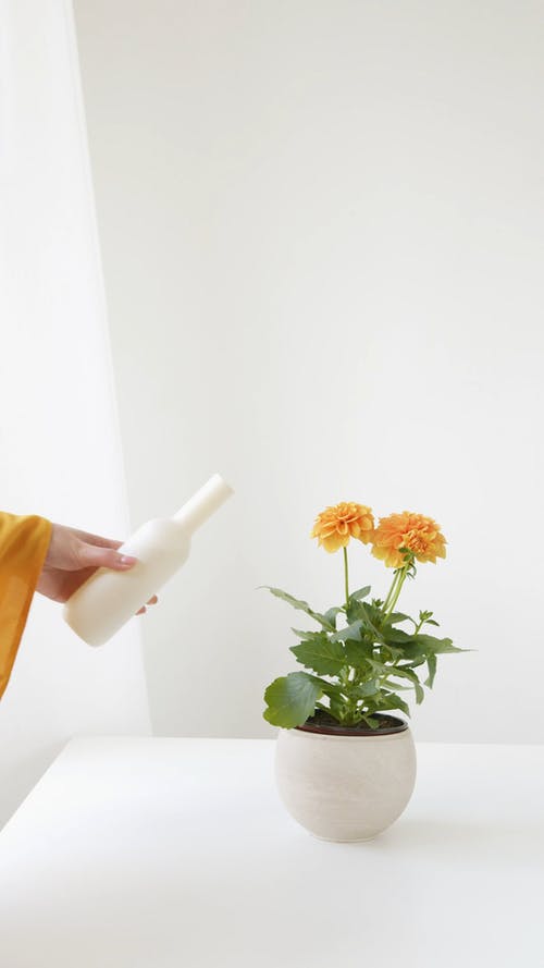 有关人, 内部, 垂直视频的免费素材视频