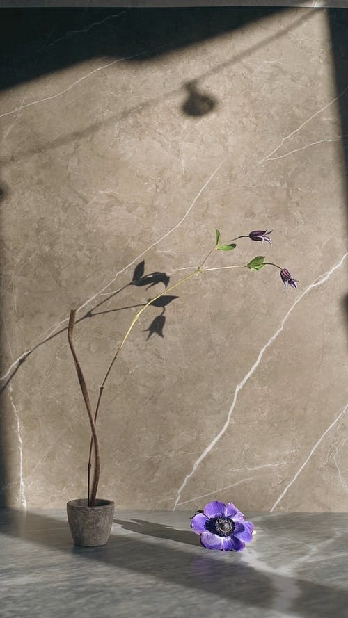 有关垂直视频, 大理石表面, 审美的免费素材视频