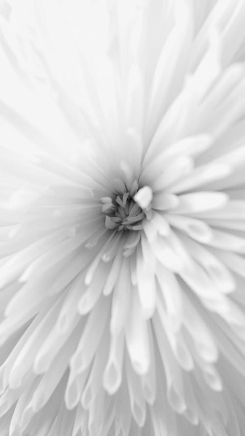 有关垂直视频, 天性, 明亮的免费素材视频